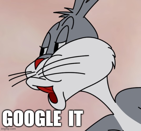 Google It | GOOGLE  IT | image tagged in bugs bunny no | made w/ Imgflip meme maker