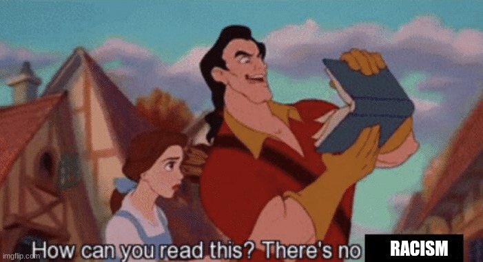 How can you read this? There's no pictures | RACISM | image tagged in how can you read this there's no pictures | made w/ Imgflip meme maker