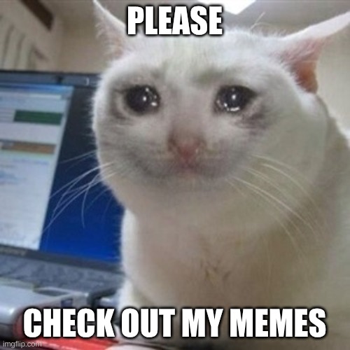 PLEASE CHECK OUT MY MEMES | image tagged in crying cat | made w/ Imgflip meme maker
