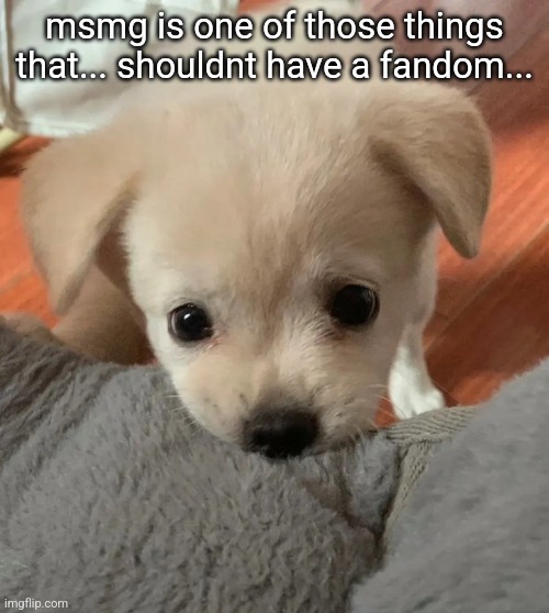 hi | msmg is one of those things that... shouldnt have a fandom... | image tagged in hi | made w/ Imgflip meme maker