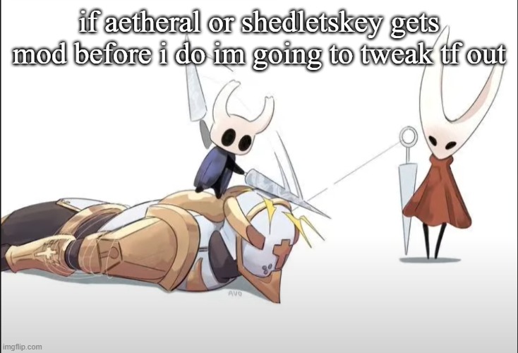 +HALLOWNESS | if aetheral or shedletskey gets mod before i do im going to tweak tf out | image tagged in hallowness | made w/ Imgflip meme maker