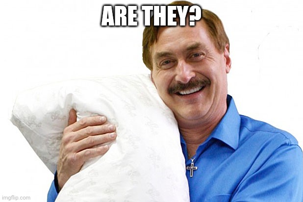 My Pillow | ARE THEY? | image tagged in my pillow | made w/ Imgflip meme maker