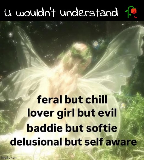 U wouldn’t understand 🥀 | made w/ Imgflip meme maker