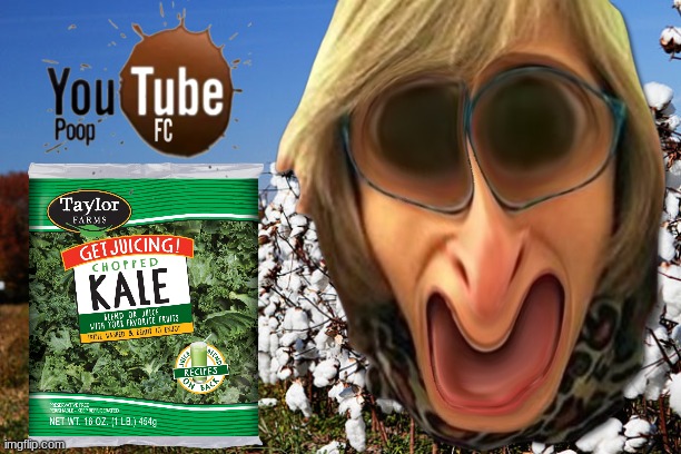YOUTUBE POOP VEGAN TEACHER GETS SLICED AND DICED | image tagged in that vegan teacher | made w/ Imgflip meme maker