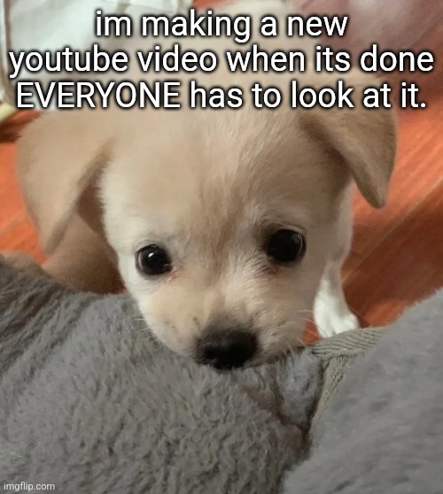 well not rlly look its a music mix | im making a new youtube video when its done EVERYONE has to look at it. | image tagged in hi | made w/ Imgflip meme maker