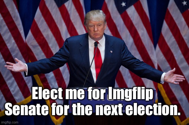 Make Imgflip Senate Great Again! | Elect me for Imgflip Senate for the next election. | image tagged in donald trump | made w/ Imgflip meme maker