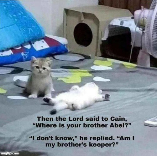 ▬♦▬comment specific to meme of Cain inviting Abel on a walk  ♦Similar meme submitted♦ | image tagged in cain and abel,comment | made w/ Imgflip meme maker