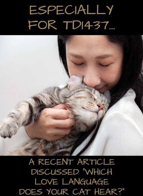 The Love Language of Physical Touch | ESPECIALLY FOR TD1437... A RECENT ARTICLE DISCUSSED "WHICH LOVE LANGUAGE DOES YOUR CAT HEAR?" | image tagged in love languages | made w/ Imgflip meme maker