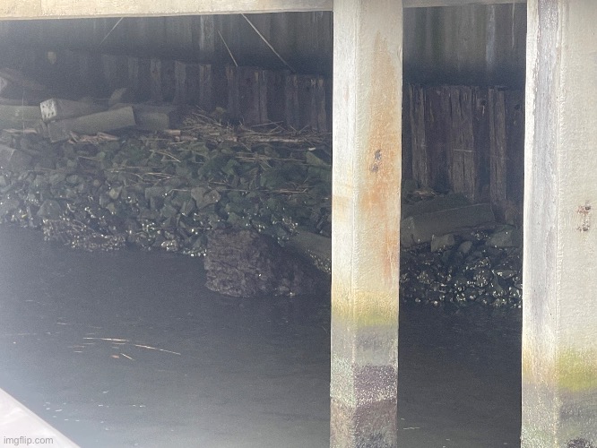 this pic I took a few minutes ago gives me inspo for an apocalyptic story. Or maybe one where some teen runs away from home idk | made w/ Imgflip meme maker