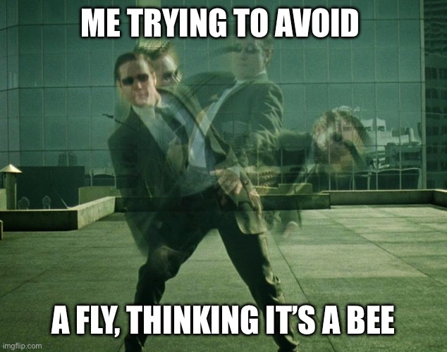 Spring bugs | ME TRYING TO AVOID; A FLY, THINKING IT’S A BEE | image tagged in avoiding | made w/ Imgflip meme maker