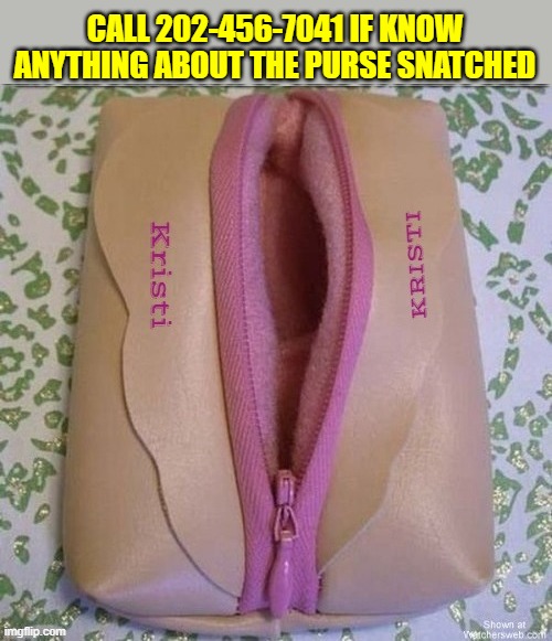 Kristi's snatched purse | CALL 202-456-7041 IF KNOW ANYTHING ABOUT THE PURSE SNATCHED | image tagged in kristi's snatched purse,i don't noen where i lost it,lost in a crack,open for business,she can't even keep her purse secure | made w/ Imgflip meme maker
