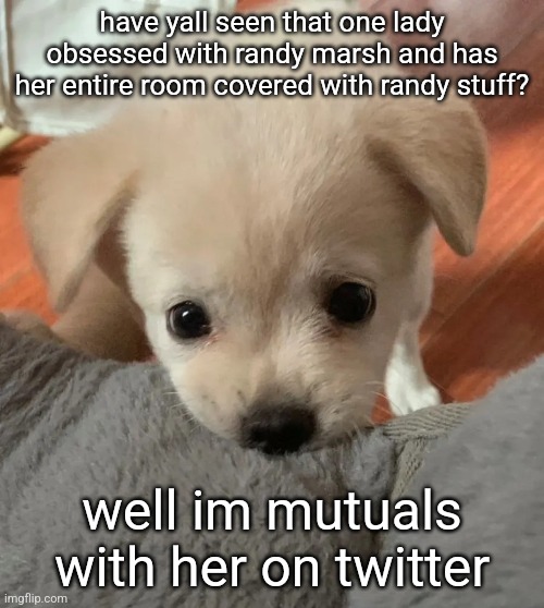 funfact | have yall seen that one lady obsessed with randy marsh and has her entire room covered with randy stuff? well im mutuals with her on twitter | image tagged in hi | made w/ Imgflip meme maker