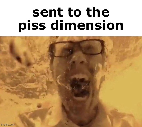 The Angry Video Game Nerd Screaming Underwater | sent to the piss dimension | image tagged in the angry video game nerd screaming underwater | made w/ Imgflip meme maker