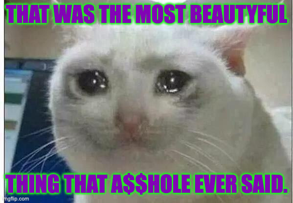 crying cat | THAT WAS THE MOST BEAUTYFUL THING THAT A$$HOLE EVER SAID. | image tagged in crying cat | made w/ Imgflip meme maker
