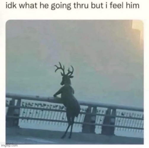 Deer | image tagged in deer | made w/ Imgflip meme maker
