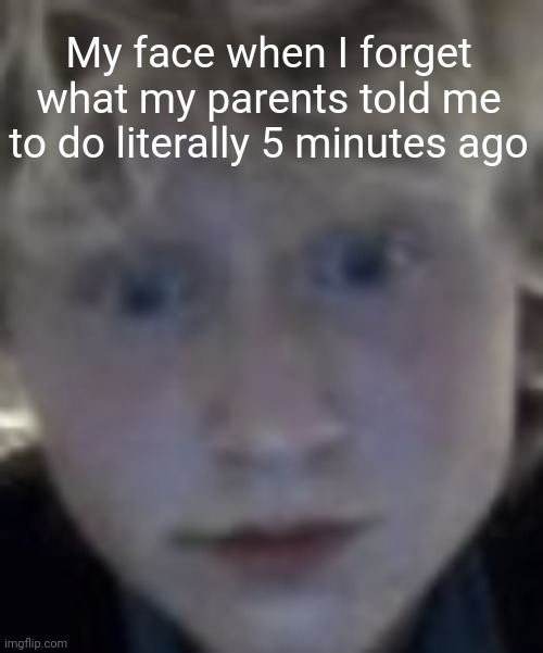 Adhd | My face when I forget what my parents told me to do literally 5 minutes ago | image tagged in zetastar real | made w/ Imgflip meme maker