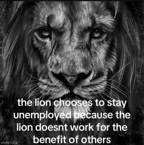 The lion cares not for others, Only raping | image tagged in the lion cares not for others only raping | made w/ Imgflip meme maker