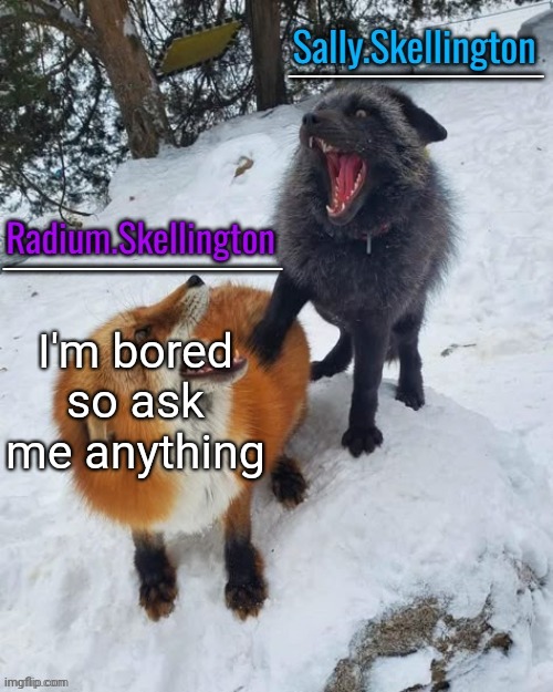 Radium and Sally temp | I'm bored so ask me anything | image tagged in radium and sally temp | made w/ Imgflip meme maker