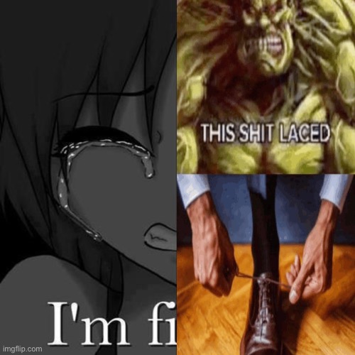 The sad truth | image tagged in i'm fi | made w/ Imgflip meme maker