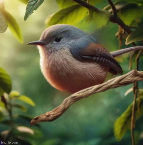 bird balls without balls | image tagged in bird balls without balls | made w/ Imgflip meme maker