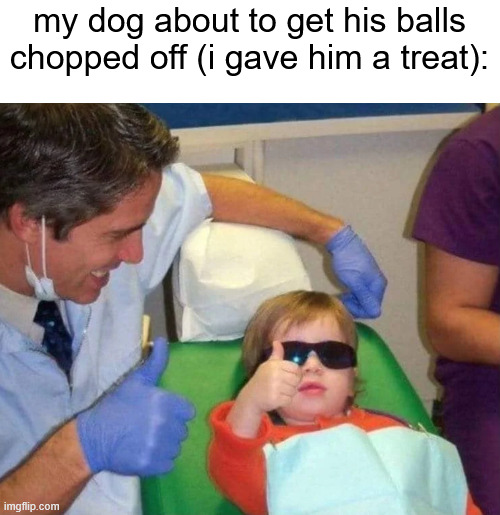 my dog about to get his balls chopped off (i gave him a treat): | made w/ Imgflip meme maker