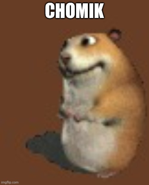 the stream mood | CHOMIK | image tagged in hamster | made w/ Imgflip meme maker