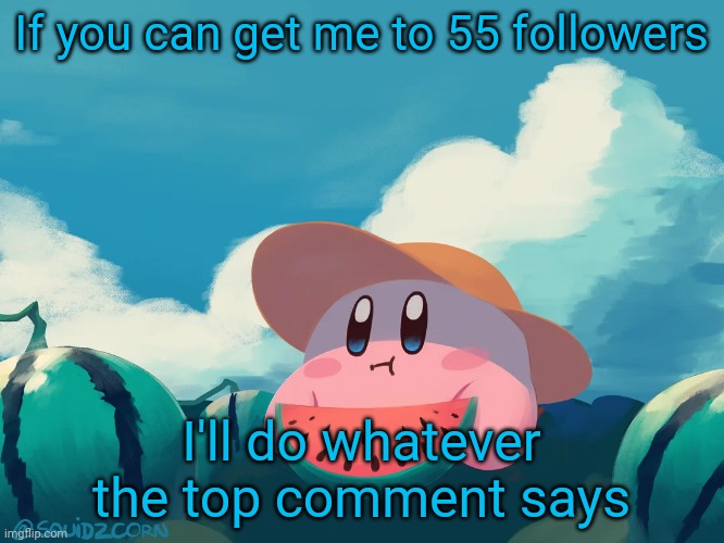 I'm going to regret this, aren't I? | If you can get me to 55 followers; I'll do whatever the top comment says | image tagged in cantaloupe kirby | made w/ Imgflip meme maker