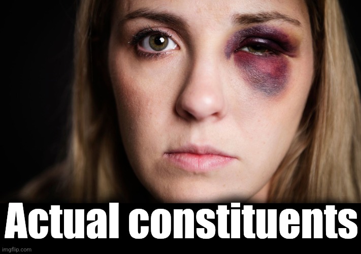 Actual constituents | made w/ Imgflip meme maker