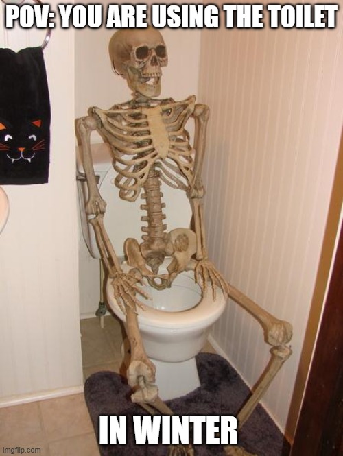 when the toilet seat is cold. | POV: YOU ARE USING THE TOILET; IN WINTER | image tagged in skeleton on toilet | made w/ Imgflip meme maker