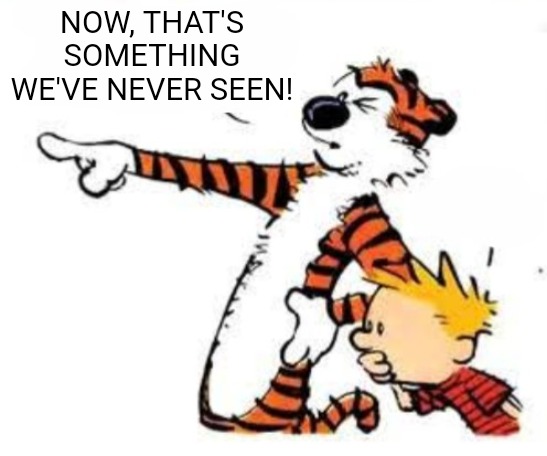 Whoa | NOW, THAT'S SOMETHING WE'VE NEVER SEEN! | image tagged in whoa | made w/ Imgflip meme maker