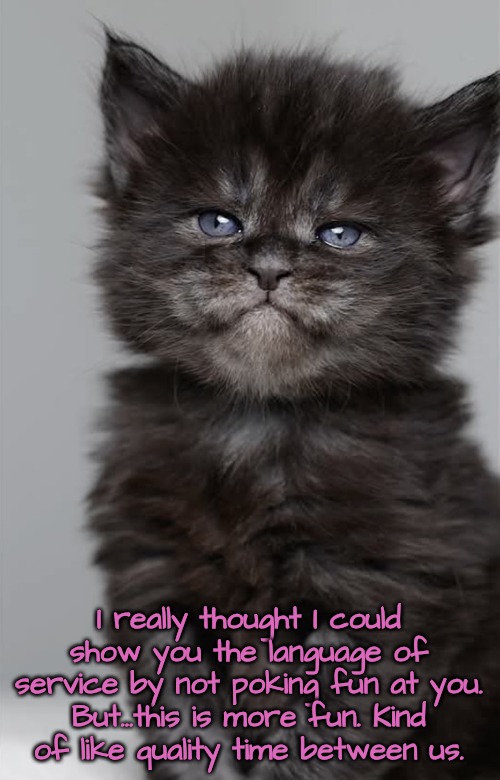 Disgruntled | I really thought I could show you the language of service by not poking fun at you. But...this is more fun. Kind of like quality time betwee | image tagged in disgruntled | made w/ Imgflip meme maker