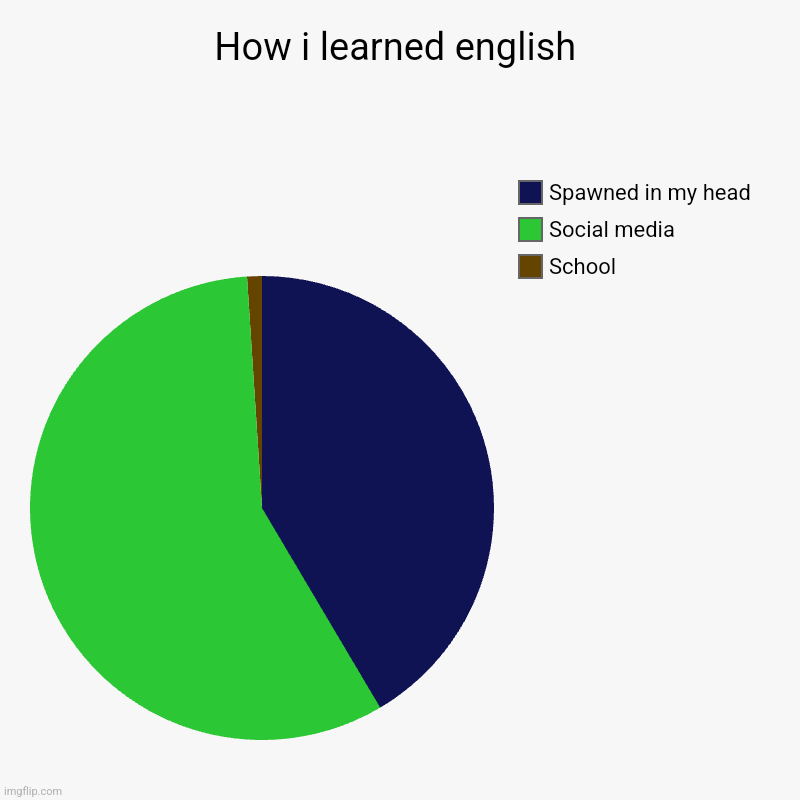 How i learned english | School, Social media, Spawned in my head | image tagged in charts,pie charts | made w/ Imgflip chart maker