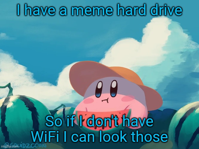 jkomnea | I have a meme hard drive; So if I don't have WiFi I can look those | image tagged in cantaloupe kirby | made w/ Imgflip meme maker