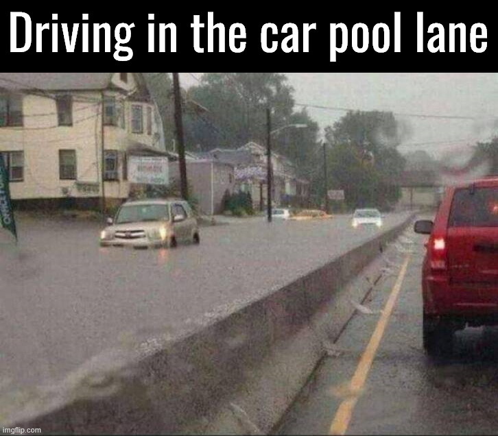 Car pool | Driving in the car pool lane | image tagged in eyeroll | made w/ Imgflip meme maker