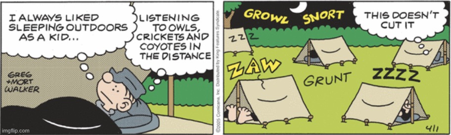 Beetle Bailey | image tagged in comics | made w/ Imgflip meme maker