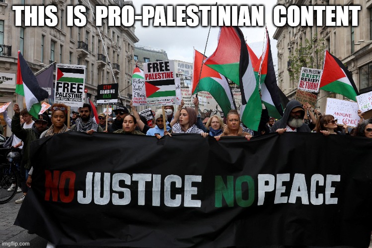 Pro-Palestinian Content | THIS  IS  PRO-PALESTINIAN  CONTENT | image tagged in palestine | made w/ Imgflip meme maker