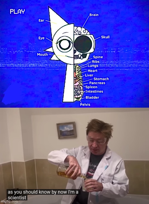 just searched up "sprunki anatomy" | image tagged in matt rose i'm a scientist | made w/ Imgflip meme maker