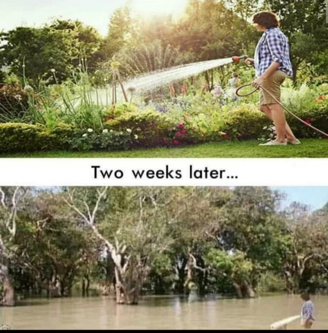 watering the garden Blank Meme Template