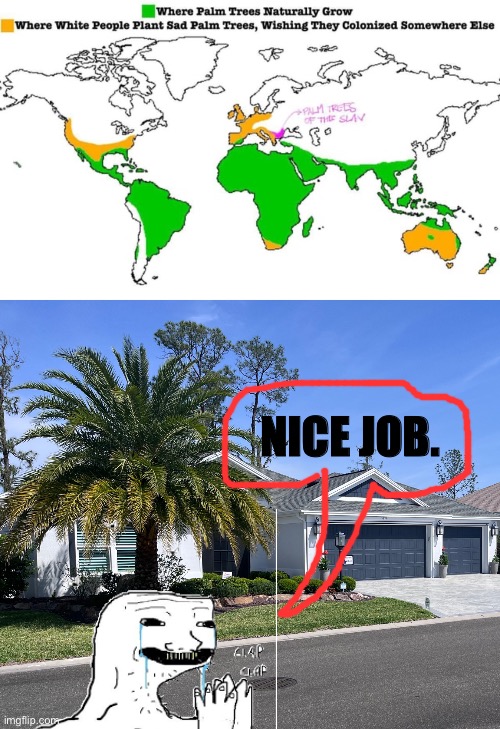 Clap clap nice job | NICE JOB. | image tagged in palm trees,funny,wojak | made w/ Imgflip meme maker