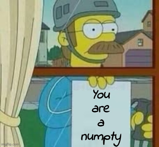 Ned Flanders holding up note | You are a numpty | image tagged in ned flanders holding up note | made w/ Imgflip meme maker