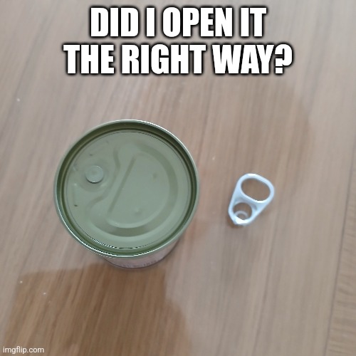 DID I OPEN IT THE RIGHT WAY? | image tagged in blank | made w/ Imgflip meme maker