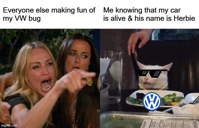 Herbie the Volkswagen Beetle of Disney | Everyone else making fun of
my VW bug; Me knowing that my car is alive & his name is Herbie | image tagged in memes,woman yelling at cat | made w/ Imgflip meme maker