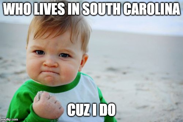 Success Kid Original | WHO LIVES IN SOUTH CAROLINA; CUZ I DO | image tagged in memes,success kid original | made w/ Imgflip meme maker