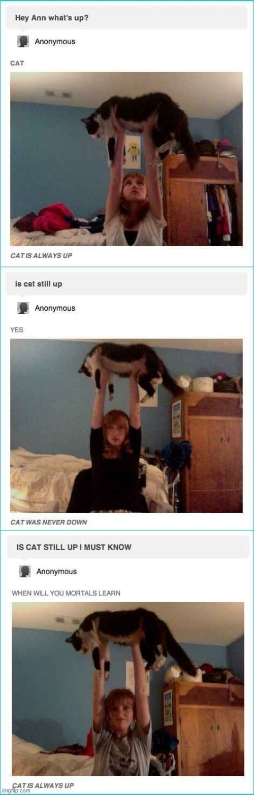 CAT LOVERS UNITE! | made w/ Imgflip meme maker