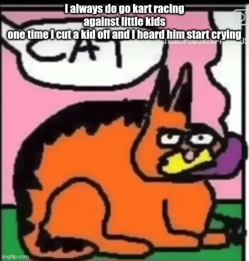 CAT | I always do go kart racing against little kids
one time I cut a kid off and I heard him start crying | image tagged in cat | made w/ Imgflip meme maker