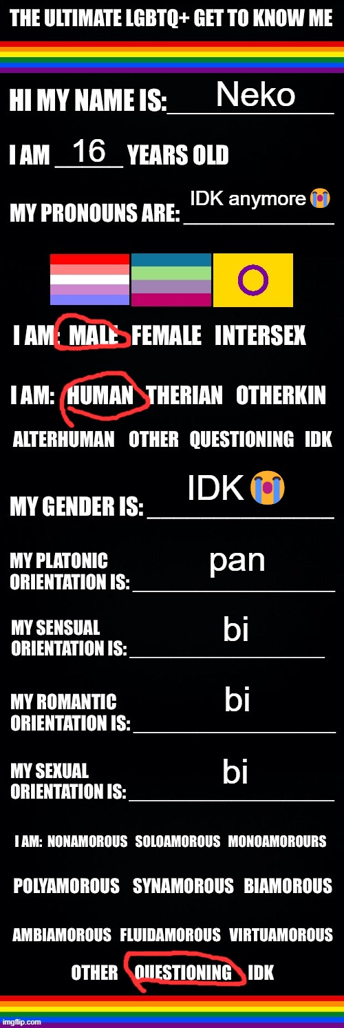 I'm becoming such a slur target☠️ | Neko; 16; IDK anymore😭; IDK😭; pan; bi; bi; bi | image tagged in the ultimate lgbtq get to know me | made w/ Imgflip meme maker