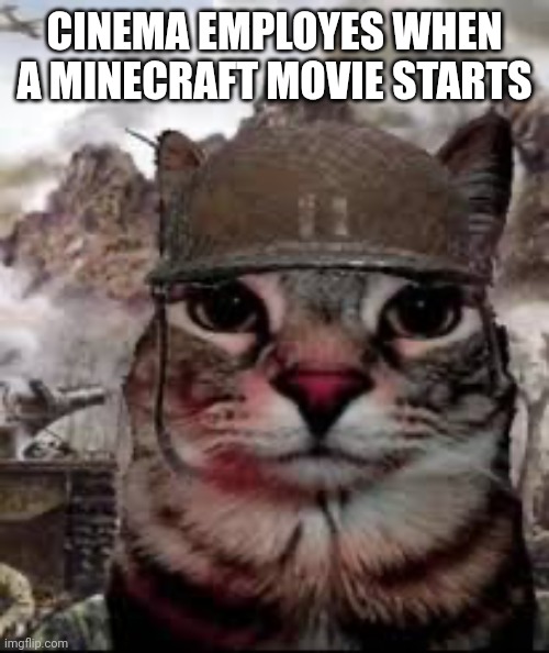 Im sad for they | CINEMA EMPLOYES WHEN A MINECRAFT MOVIE STARTS | image tagged in 1000 yard stare cat | made w/ Imgflip meme maker