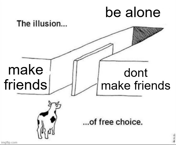 my life rn | be alone; make friends; dont make friends | image tagged in illusion of free choice | made w/ Imgflip meme maker