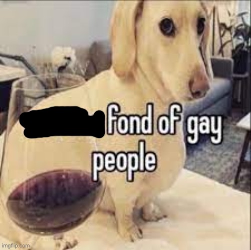 not too fond of gay people | image tagged in not too fond of gay people | made w/ Imgflip meme maker