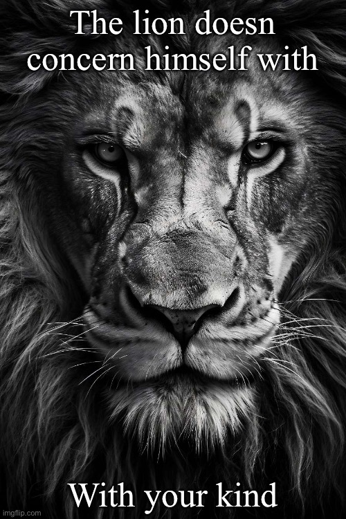 A lion doesn’t concern himseld | The lion doesn concern himself with With your kind | image tagged in a lion doesn t concern himseld | made w/ Imgflip meme maker